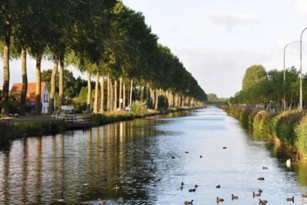 Duplex Appertement Met Zicht Damse Vaart @ Brugge Daire Dış mekan fotoğraf